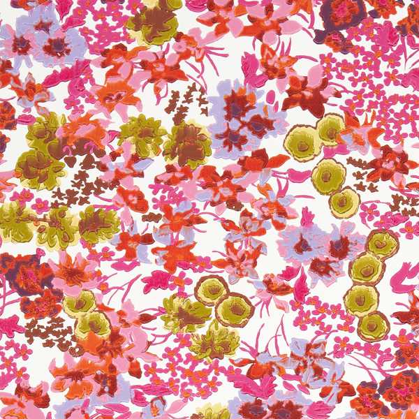 Harlequin | Wildflower Meadow