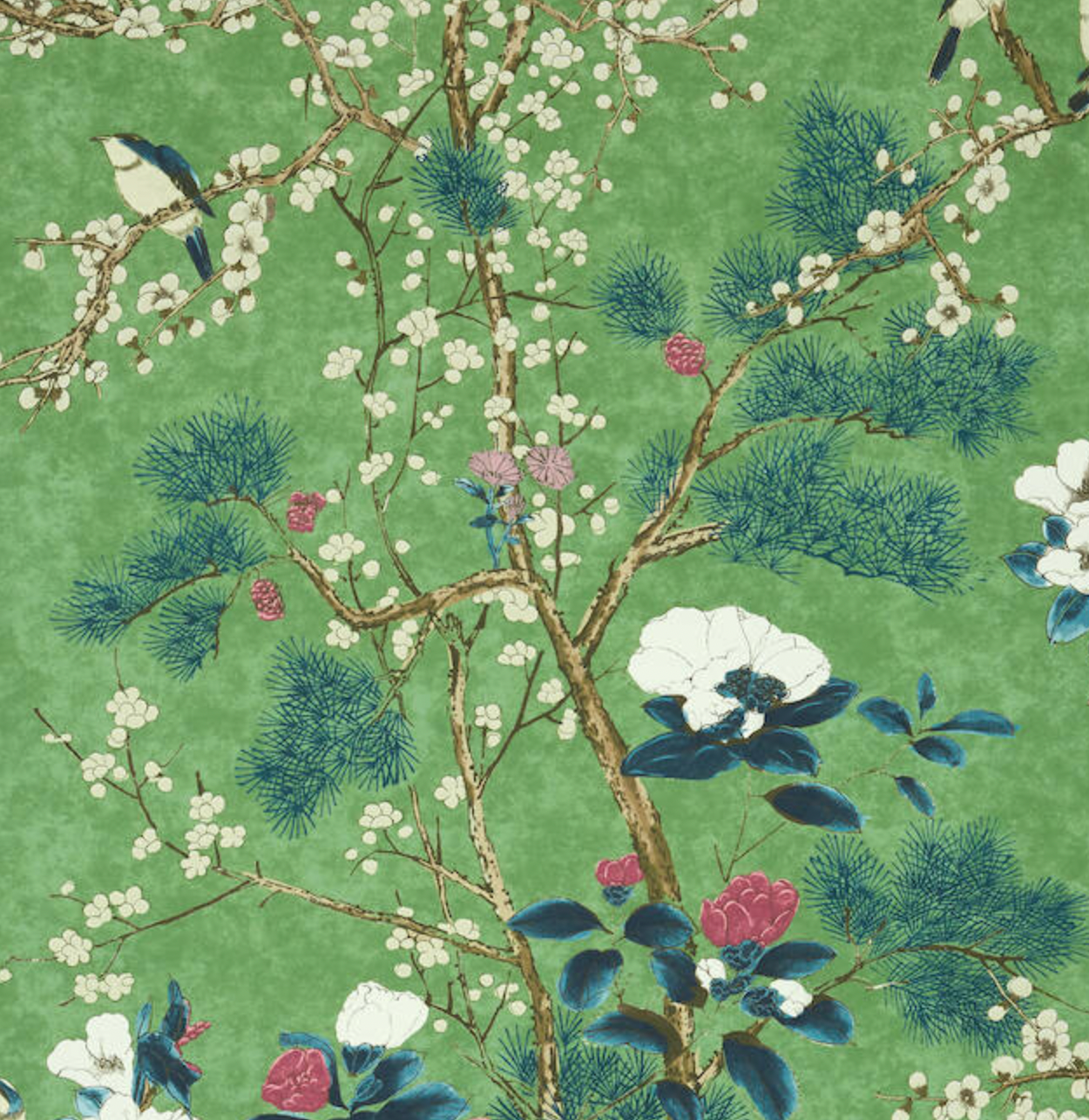 Thibaut | Katsura