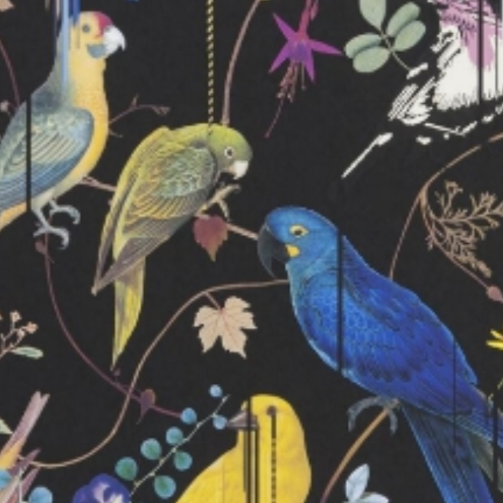 Christian Lacroix | BIRDS SINFONIA