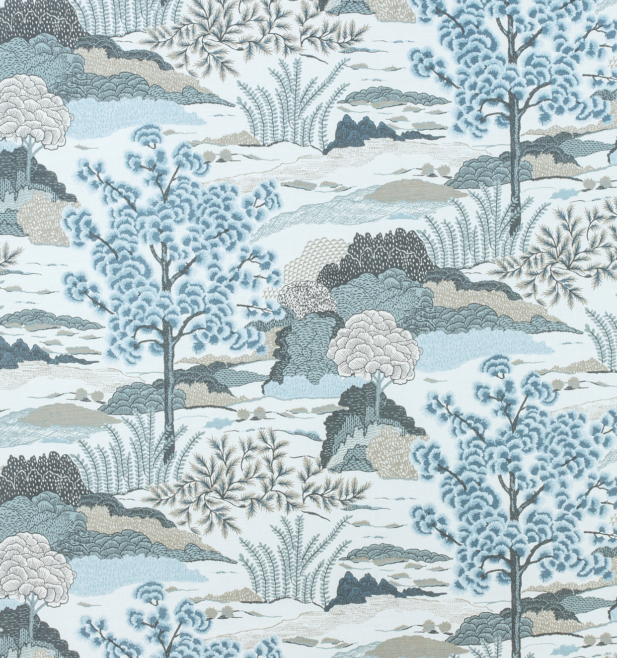 Thibaut | Daintree