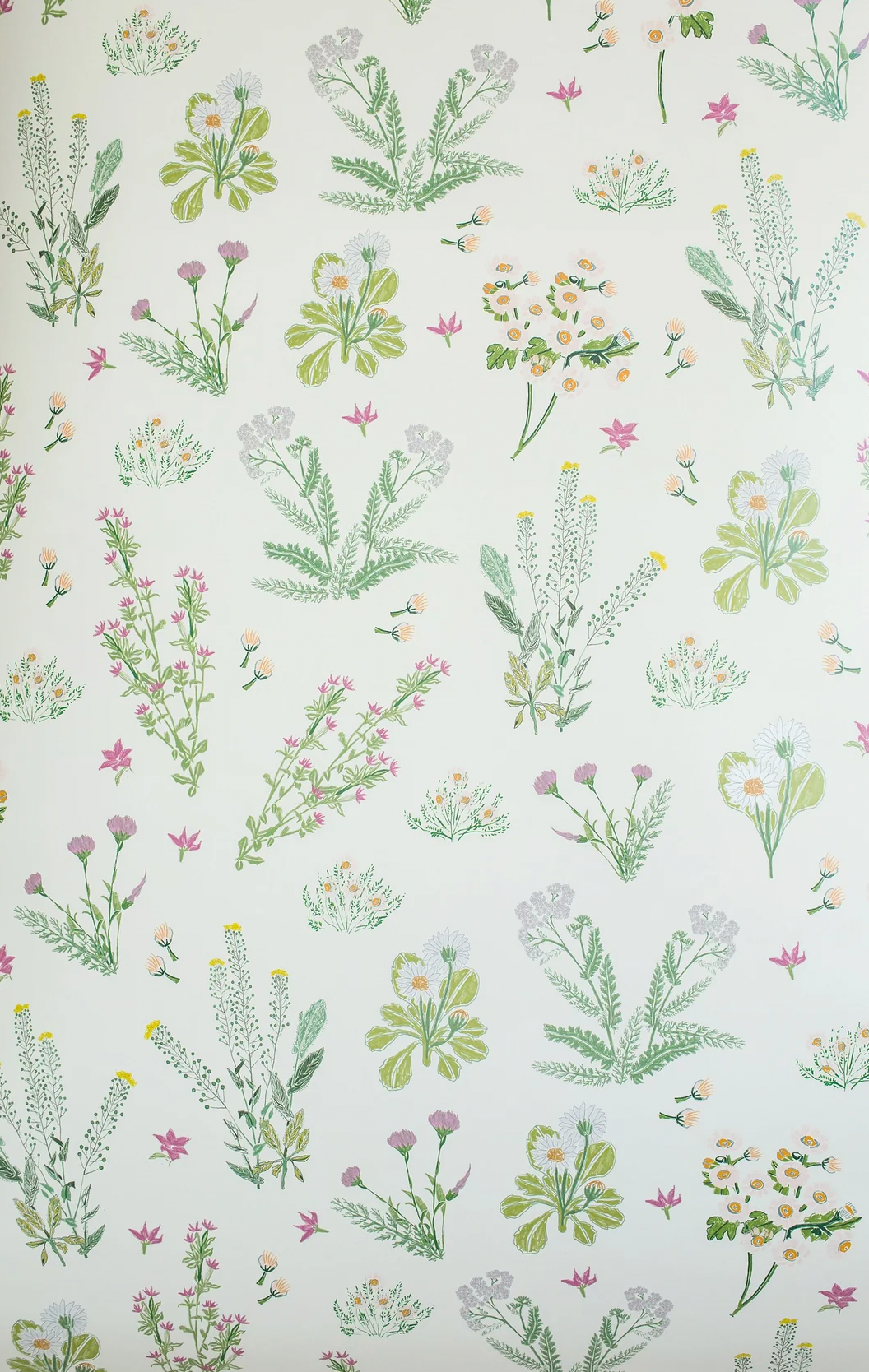 Lulie Wallace| Darcy