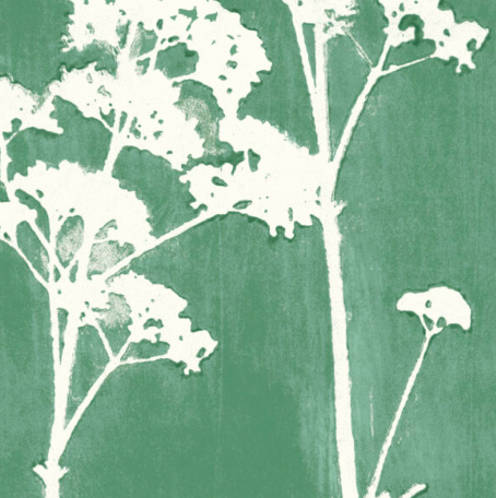 Galbraith & Paul | Valerian