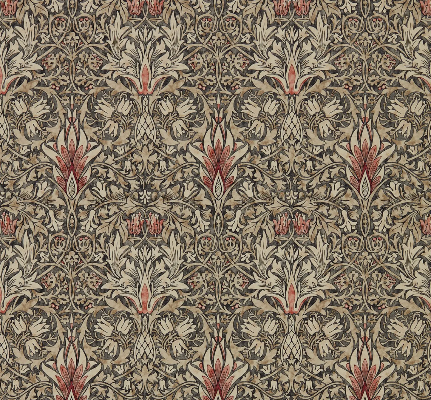 Morris & Co | Snakeshead
