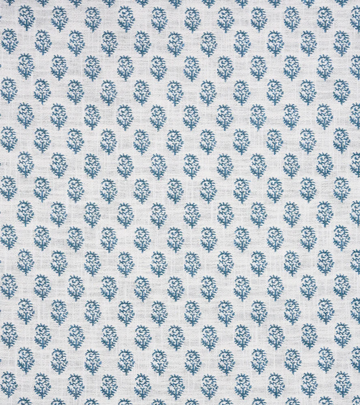 Rajmata Performance Fabric