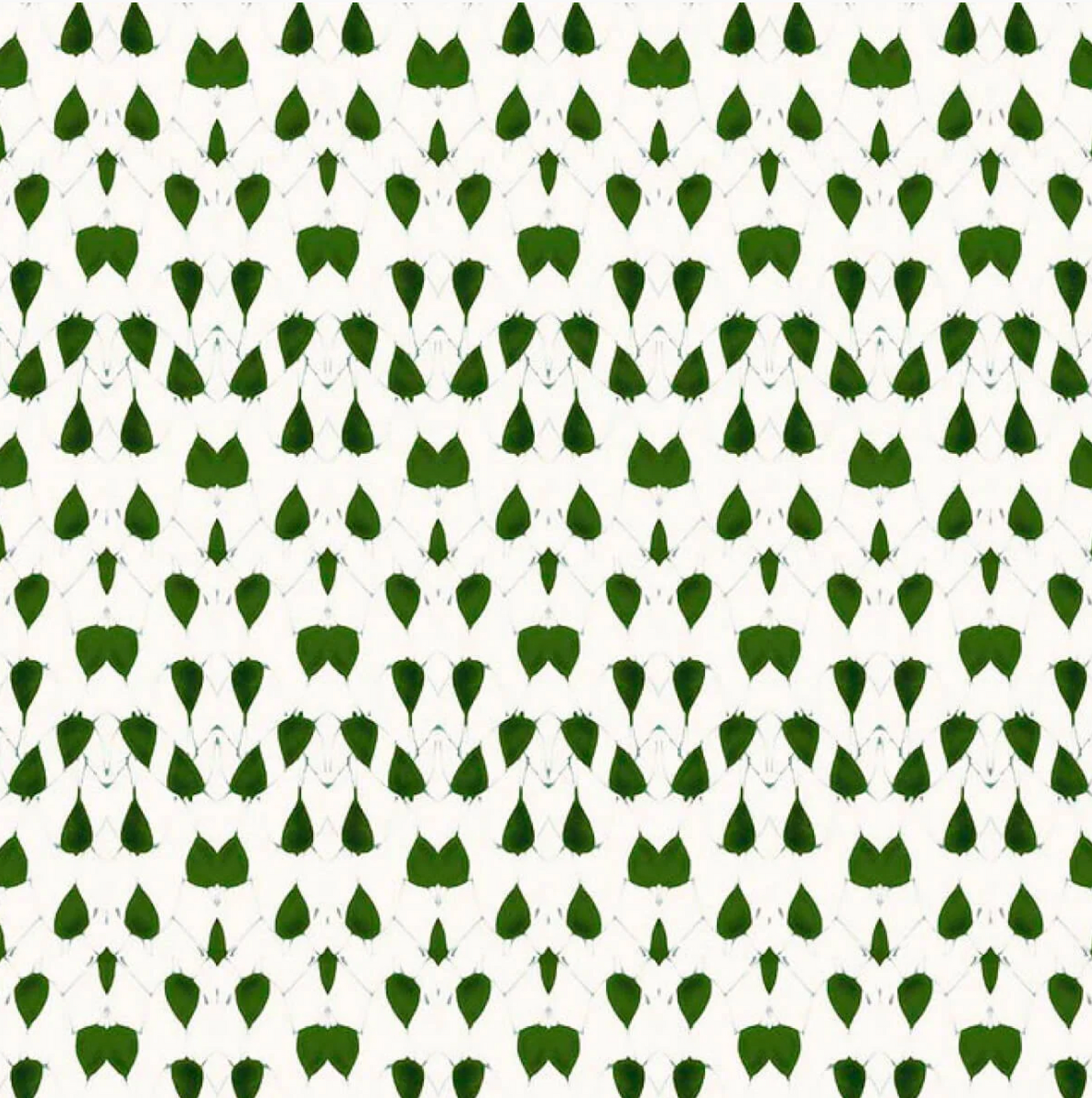 Ottoline | Porcelain Wings