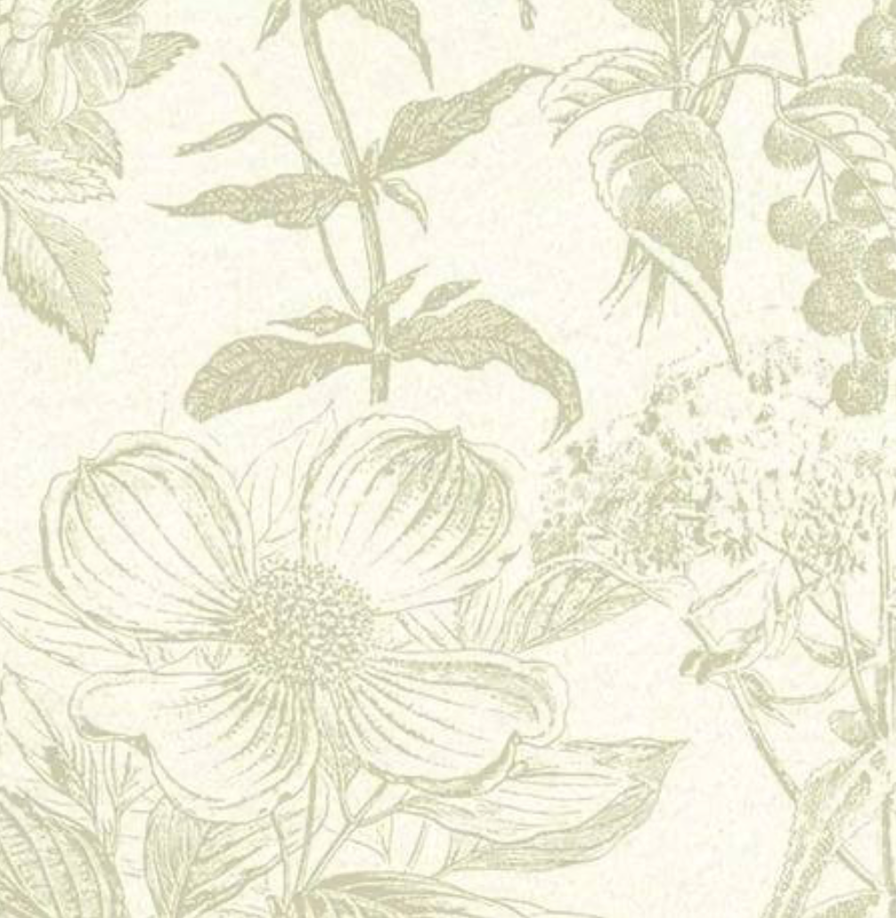 Peter Fasano | Meadow