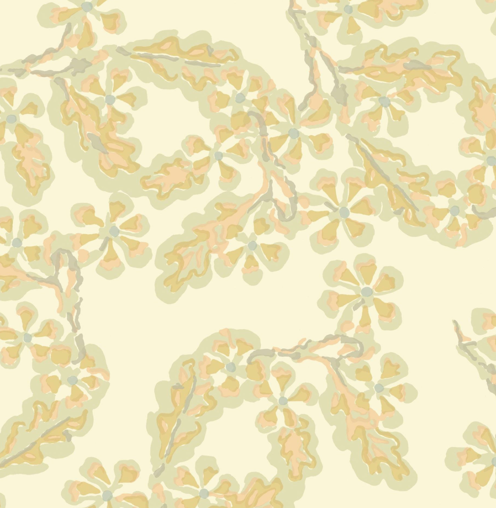 Peter Fasano | Ardley