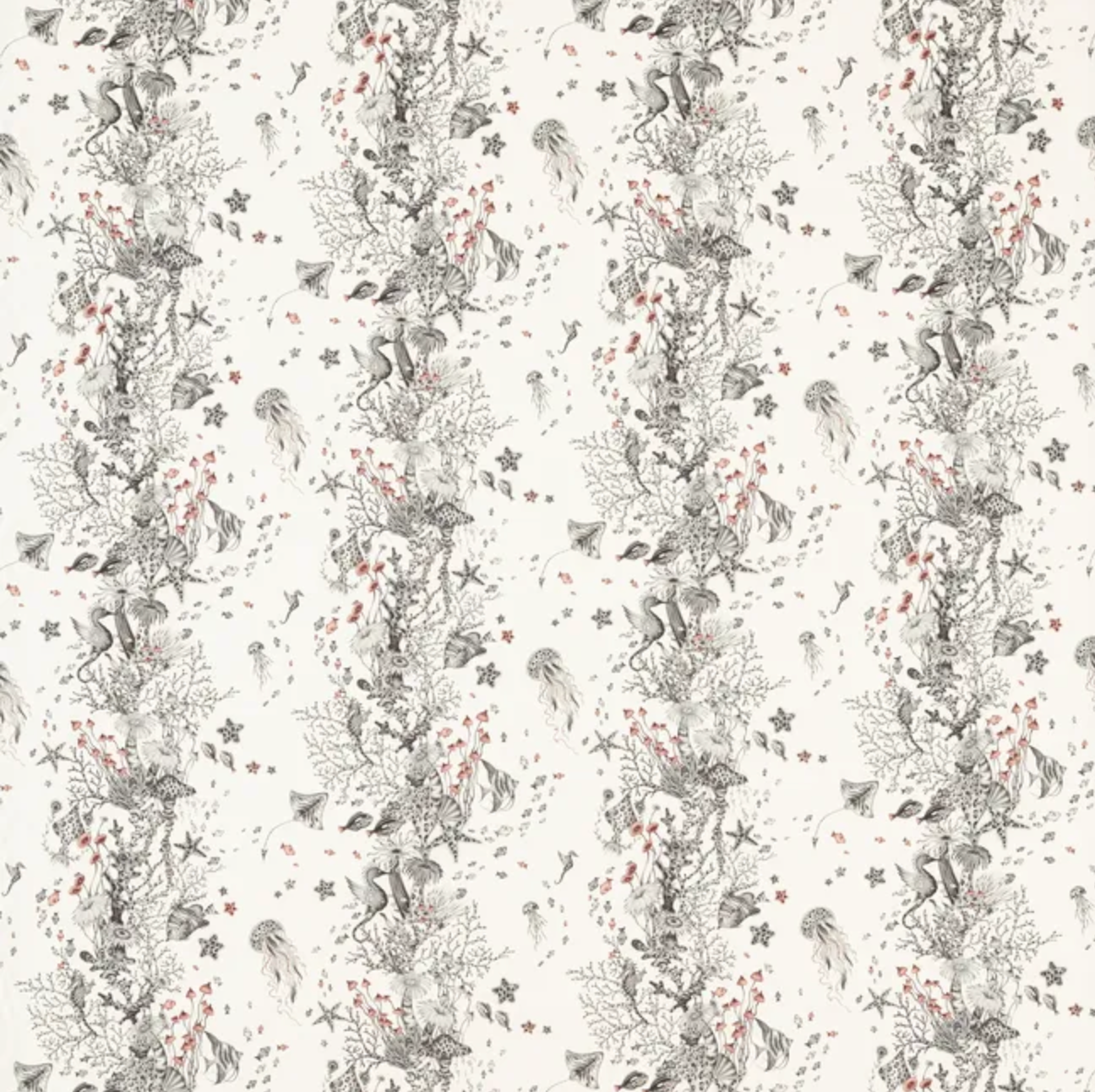 Emma J Shipley | Seaforest