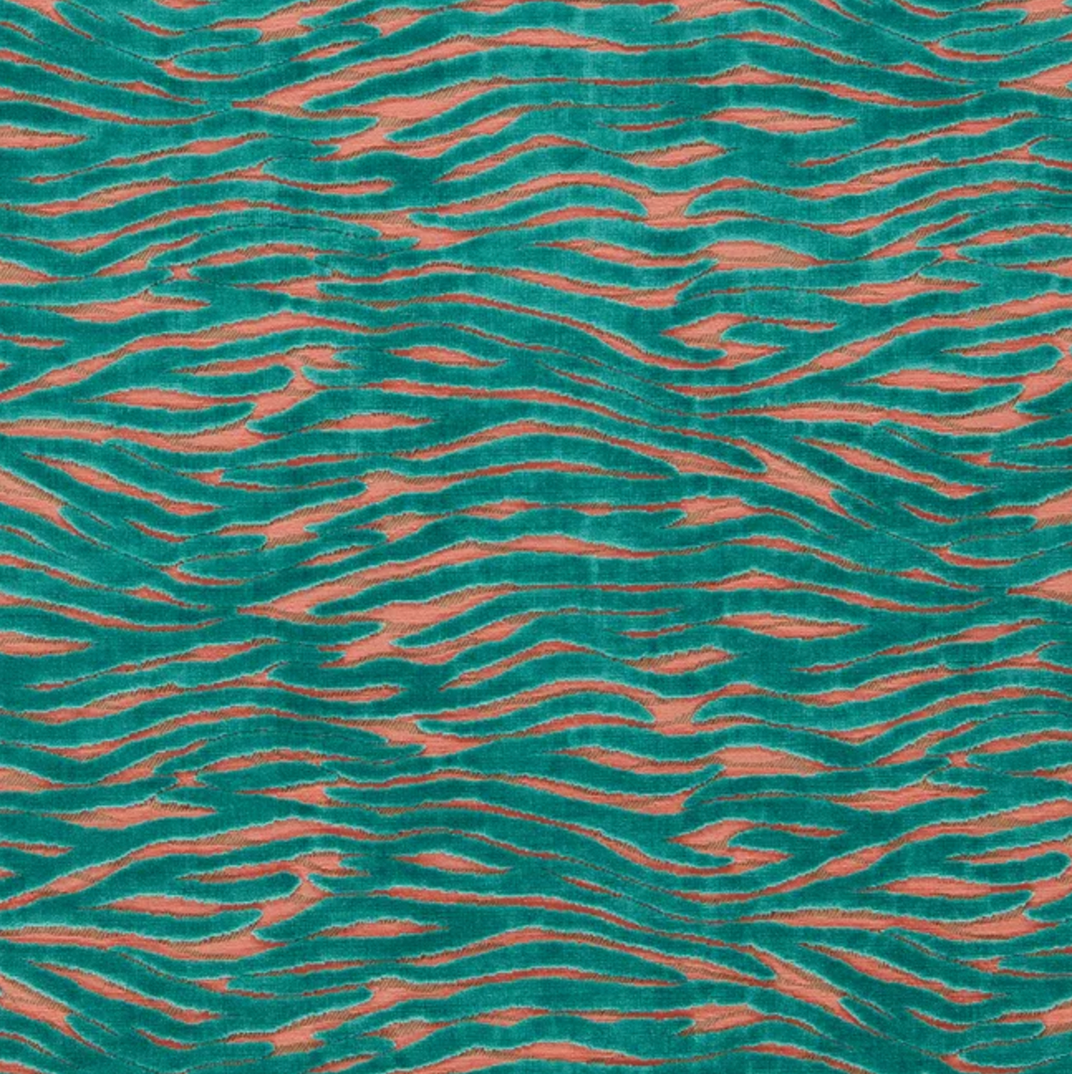 Emma J Shipley | Wildstripe