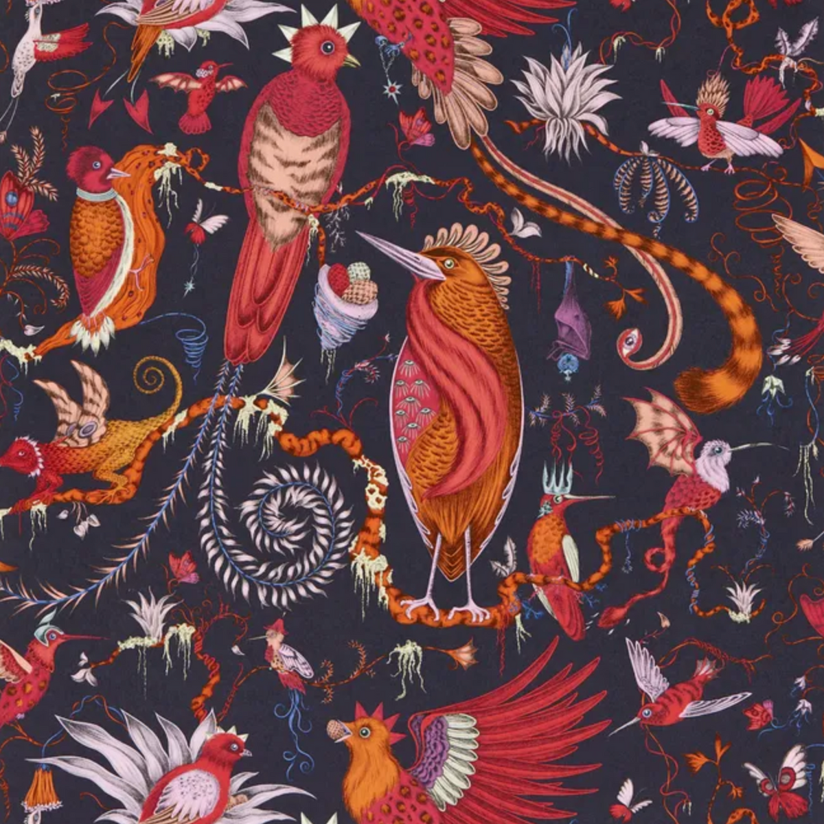 Emma J Shipley | Quetzal