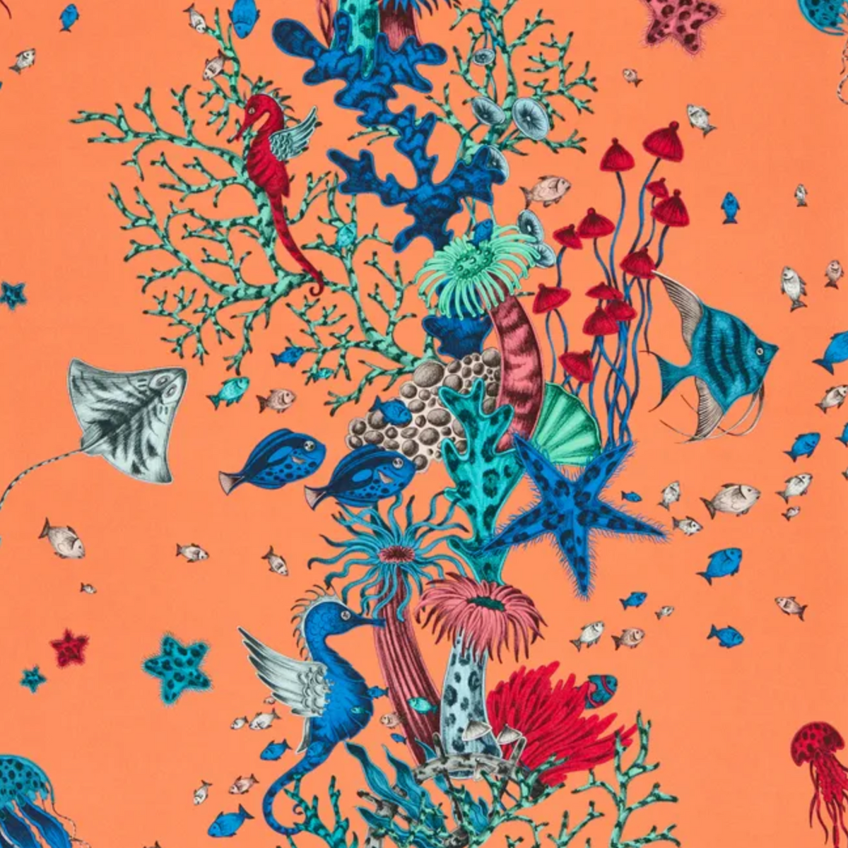 Emma J Shipley | Seaforest