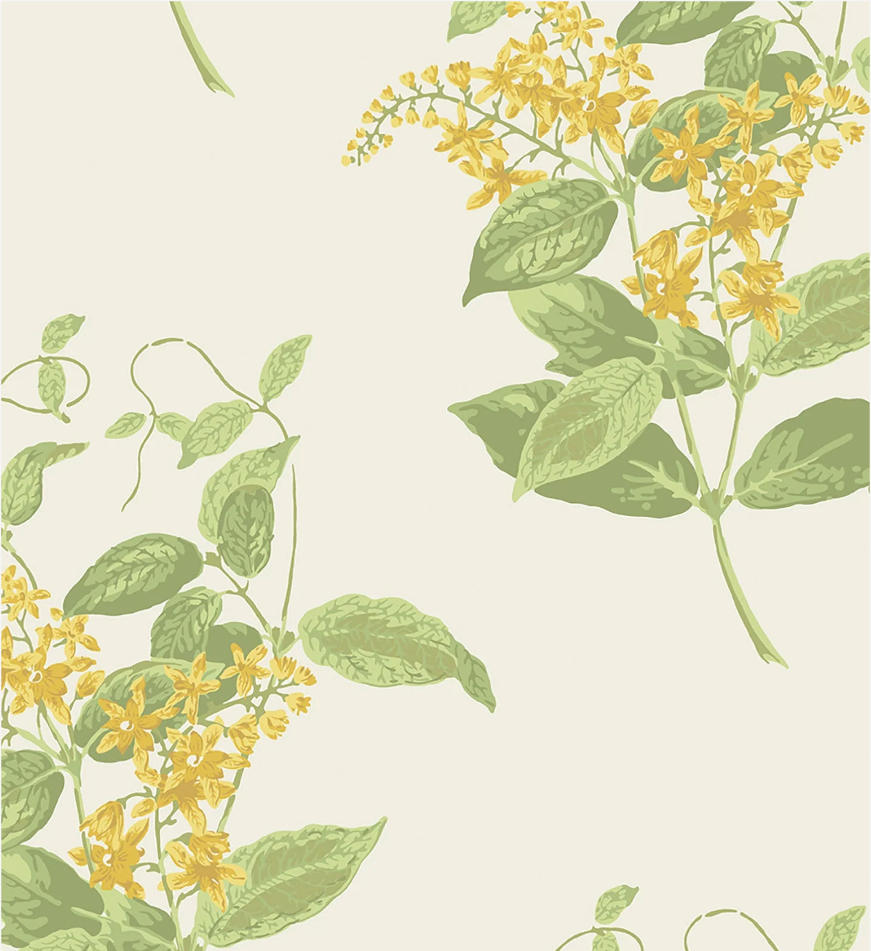 Cole & Son | Madras Violet