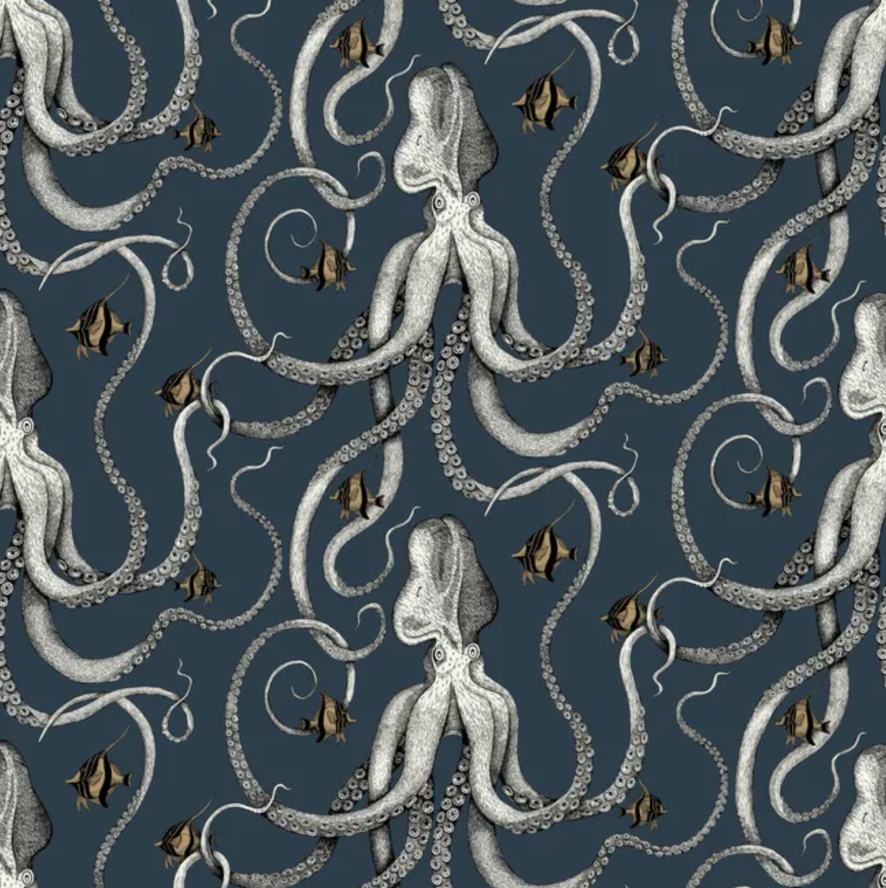 Josephine Munsey | Octopoda