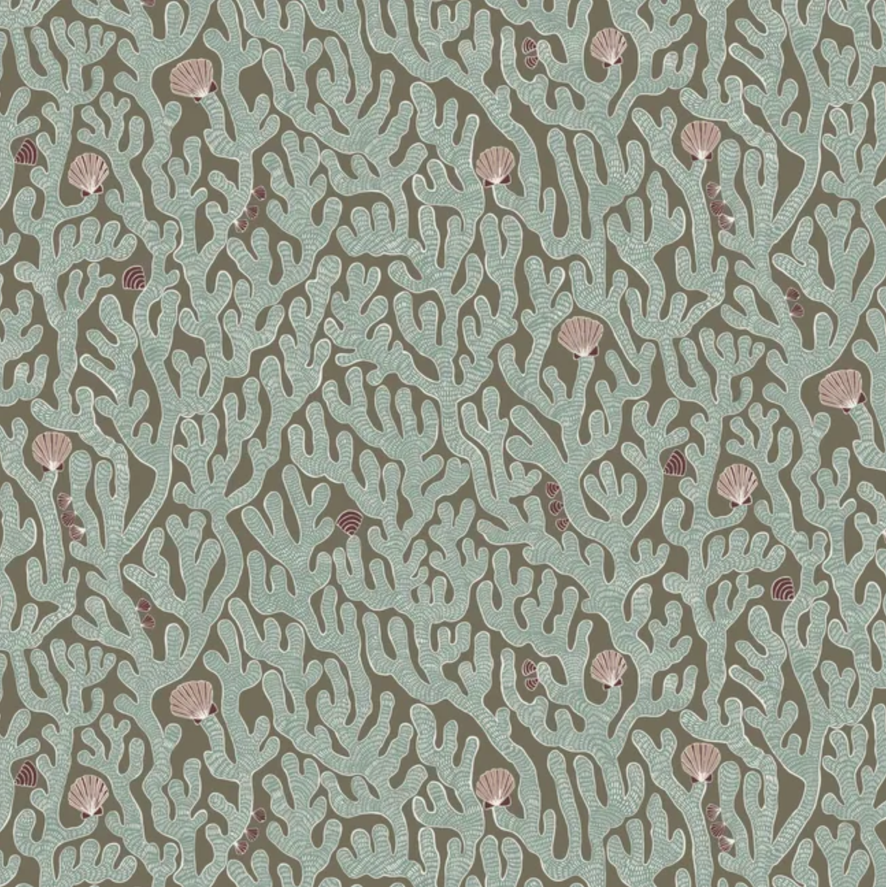 Josephine Munsey | Coral