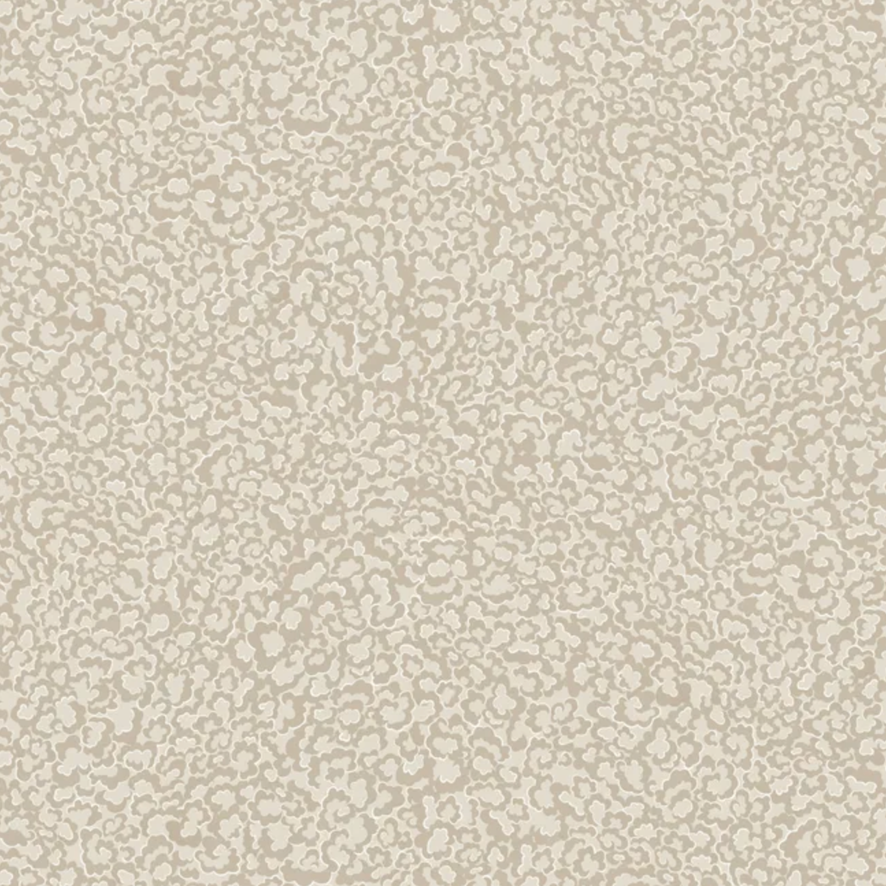 Josephine Munsey | Clouds