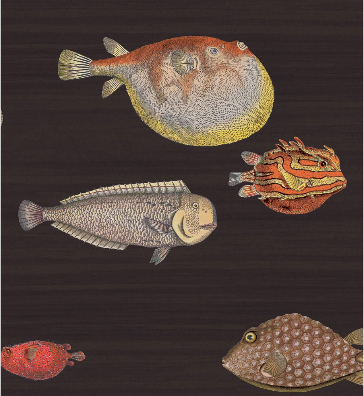 Cole & Son | Acquario