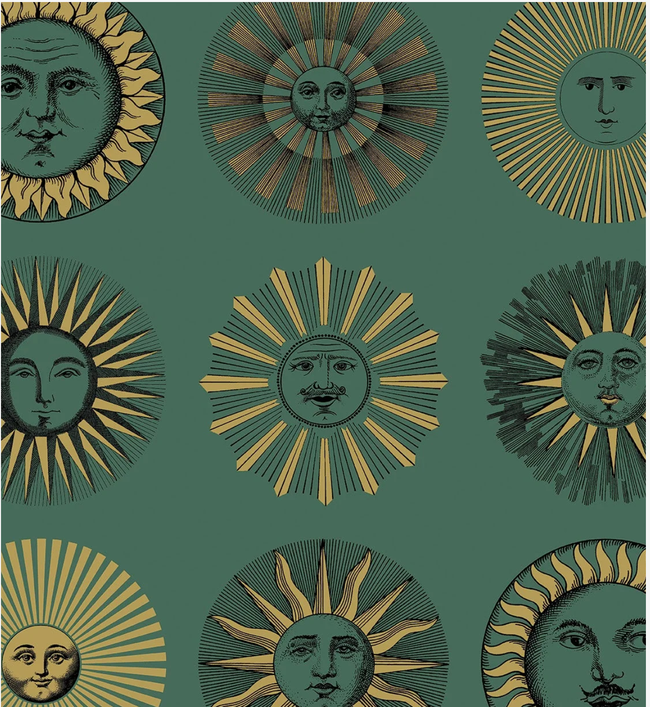 Cole & Son | Soli