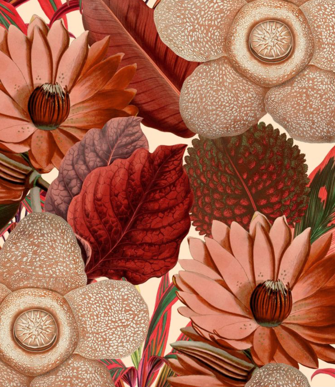 Mind the Gap | Water Lilies