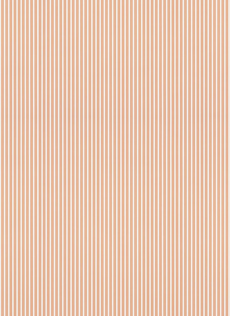 Scalamandre | Wilson Stripe