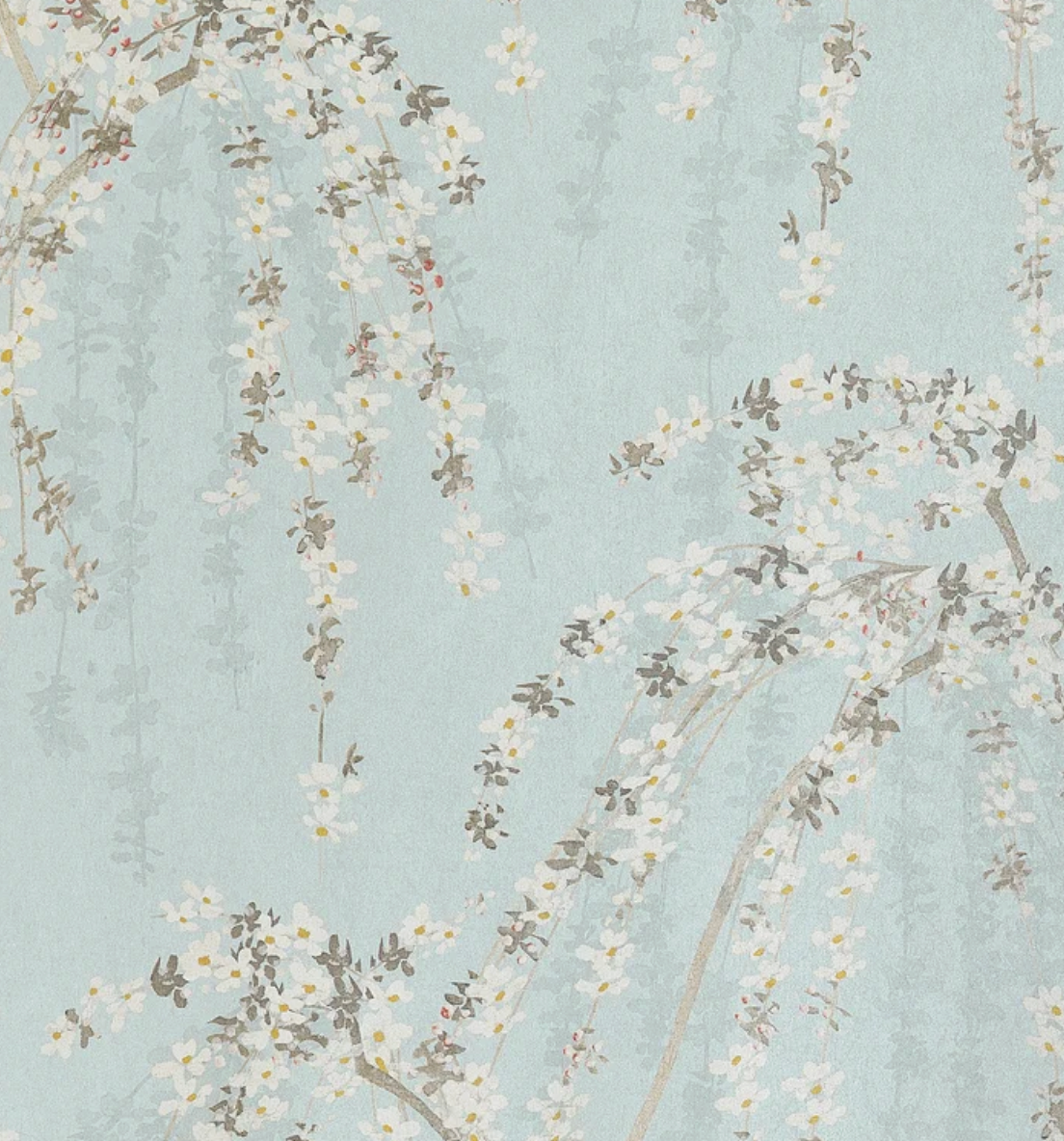 Thibaut | Weeping Blossom