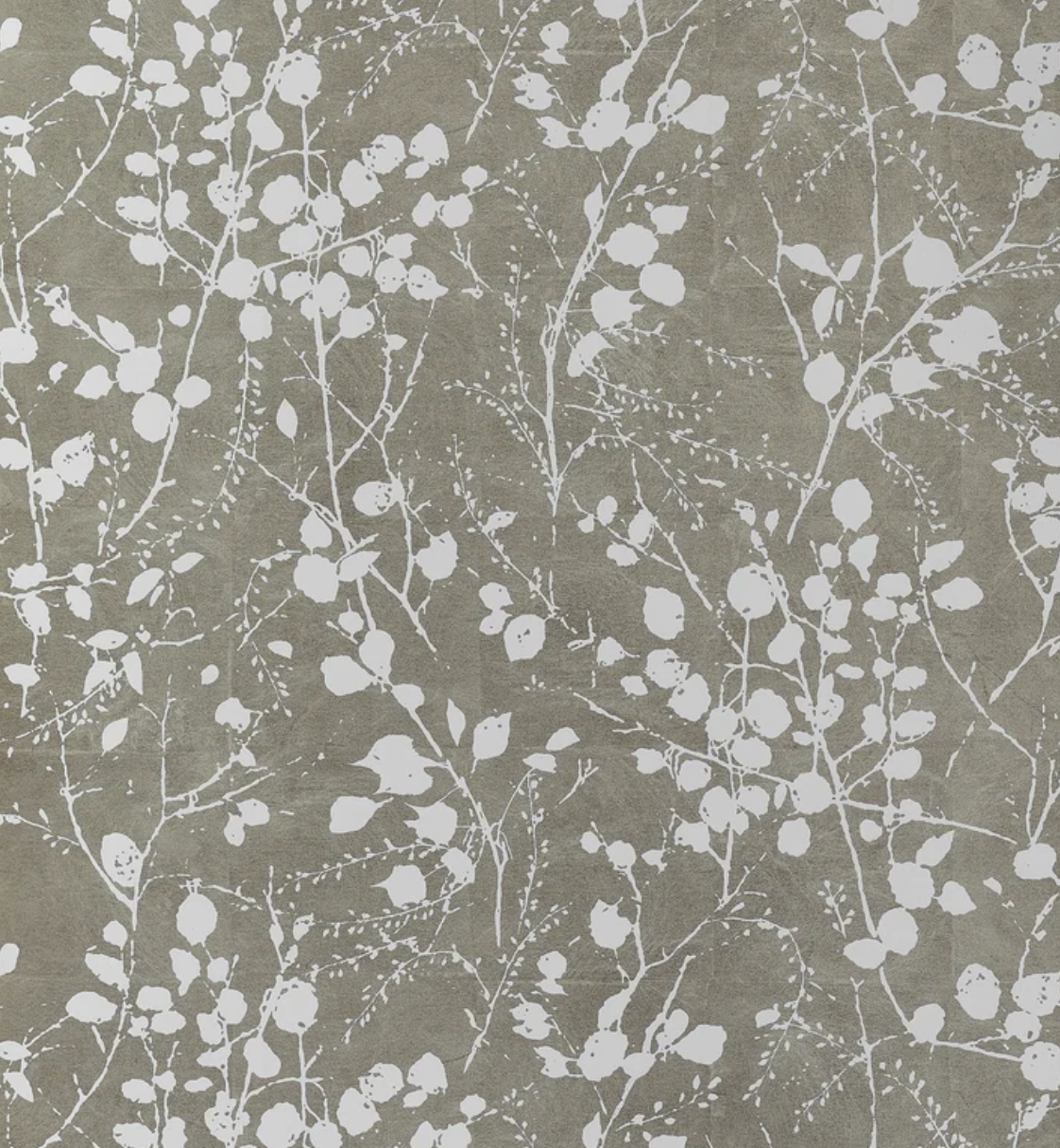 Thibaut | Katamari Bud