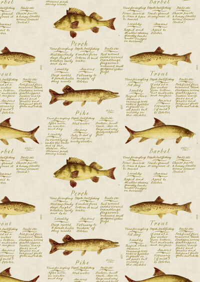 Lewis & Wood | European Fish