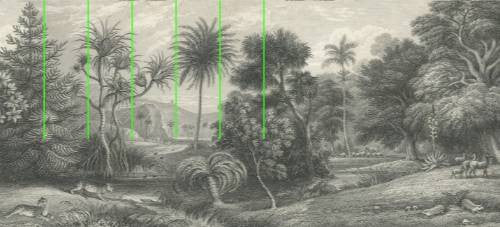 Rebel Walls | Jungle Land - Vintage - Custom