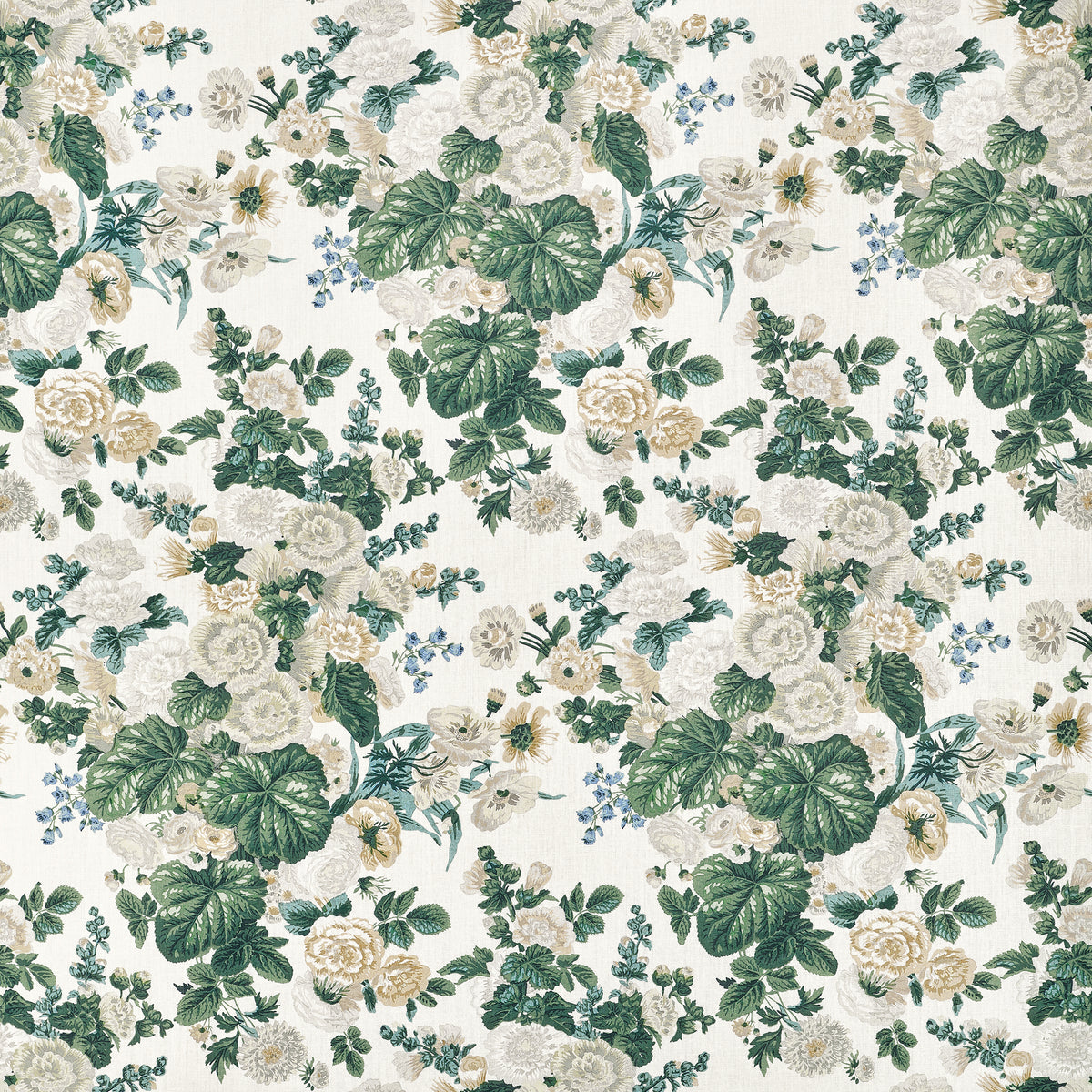 Thibaut | Hidcote