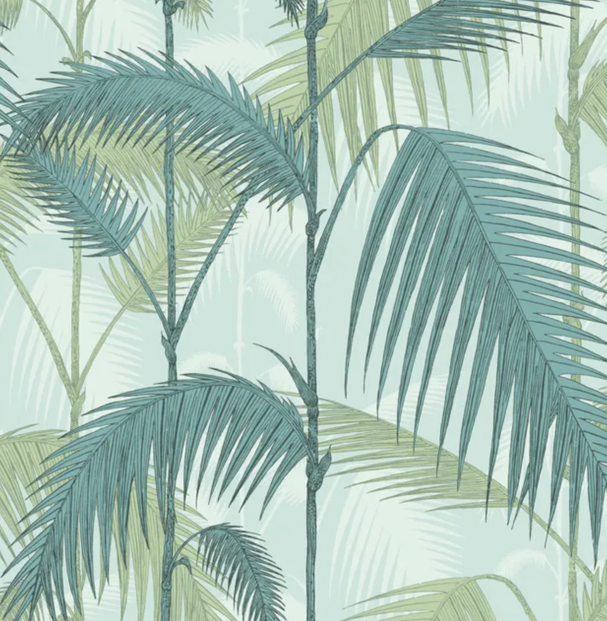 Cole & Son | Palm Jungle