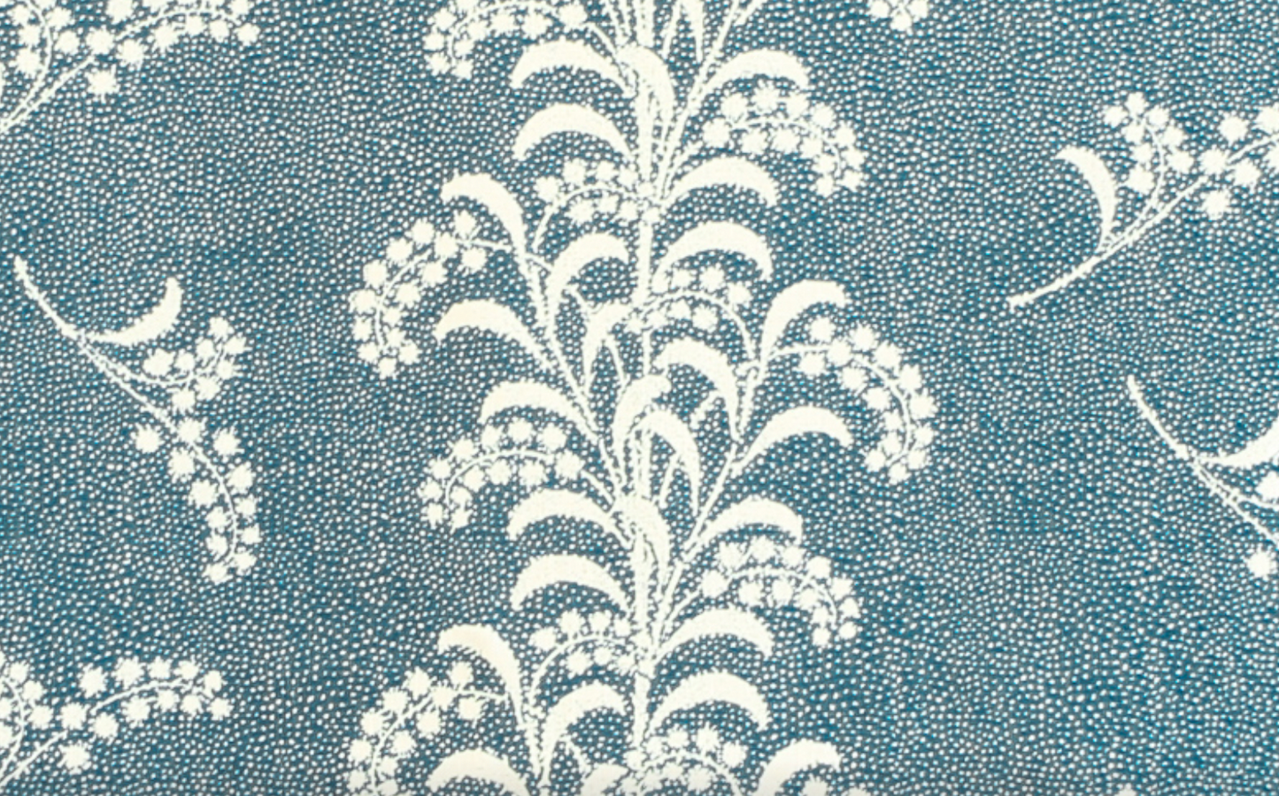 Carolina Irving | Mimosa vine