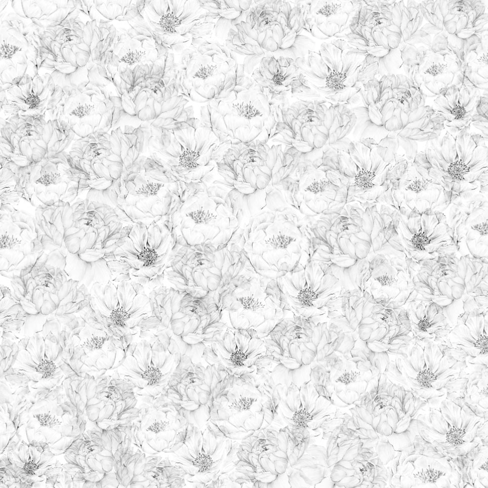 Milton & King | Peonies & Anemones