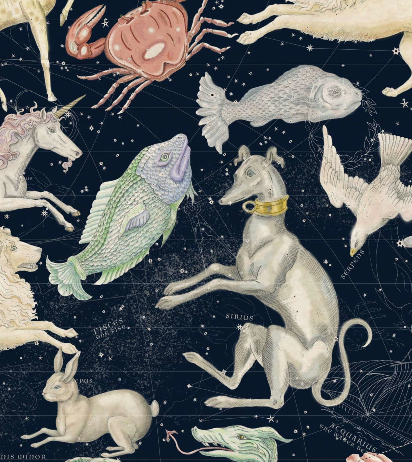 House of Hackney | Cosmos