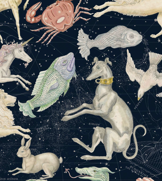 House of Hackney | Cosmos