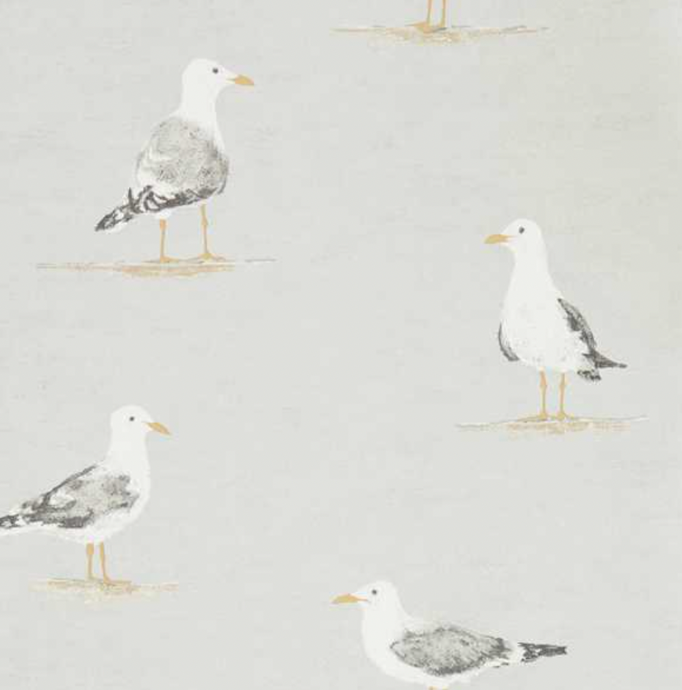 Sanderson | Shore Birds | Gull