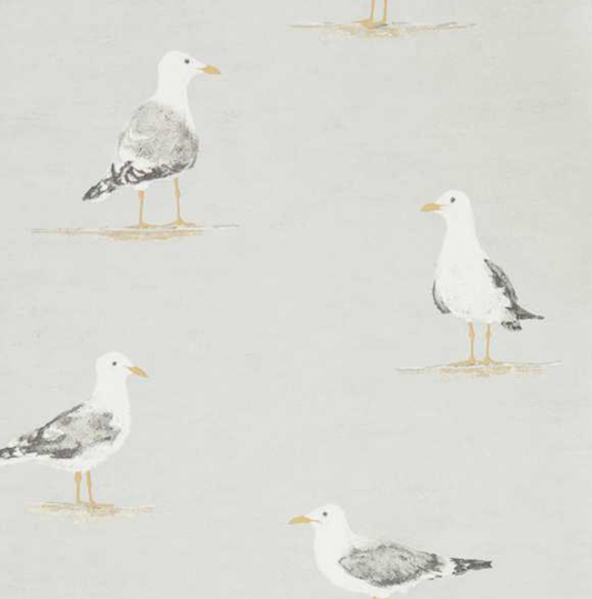 Sanderson | Shore Birds | Gull