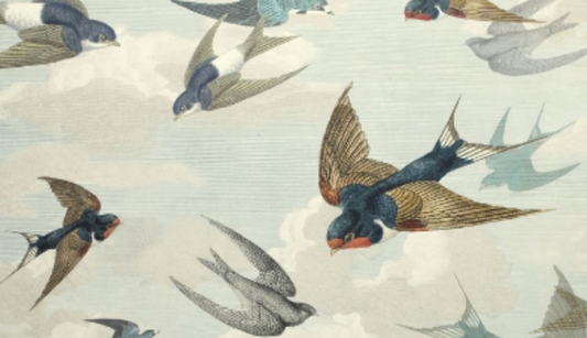 John Derian| Chimney Swallows