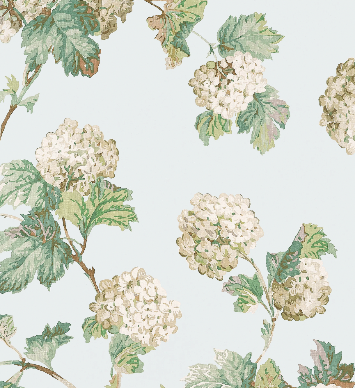 Anna French | SUSSEX HYDRANGEA