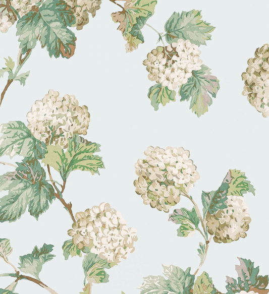 Anna French | SUSSEX HYDRANGEA