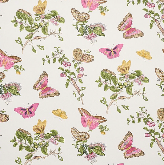 Baudin butterfly Blush