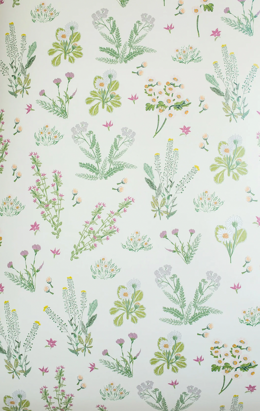 Lulie Wallace| Darcy