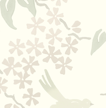 Galbraith & Paul | Birds