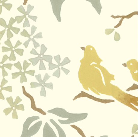 Galbraith & Paul | Birds