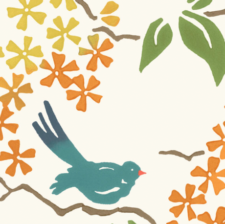 Galbraith & Paul | Birds