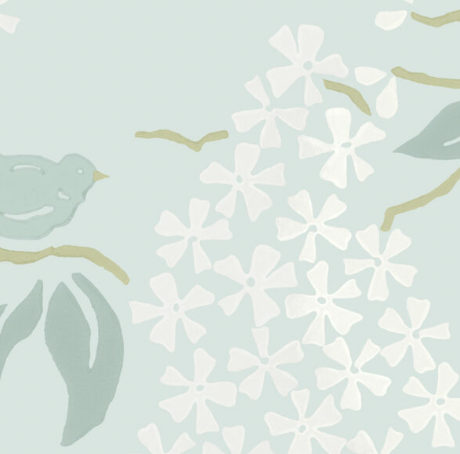 Galbraith & Paul | Birds