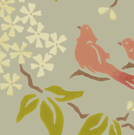 Galbraith & Paul | Birds