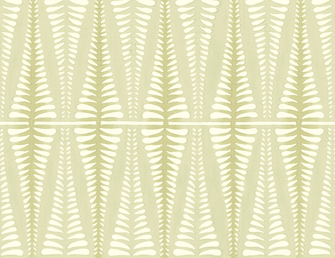 Galbraith & Paul | Fern