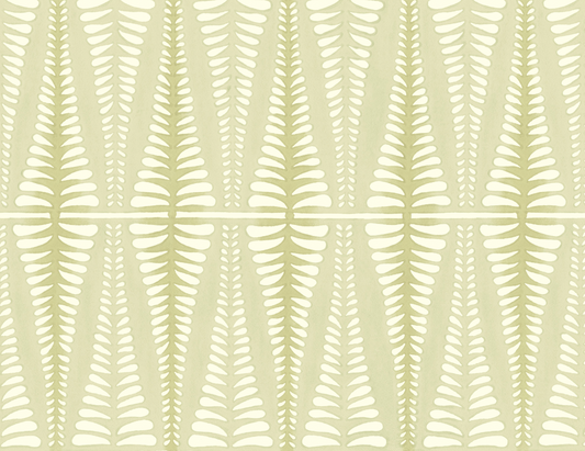 Galbraith & Paul | Fern