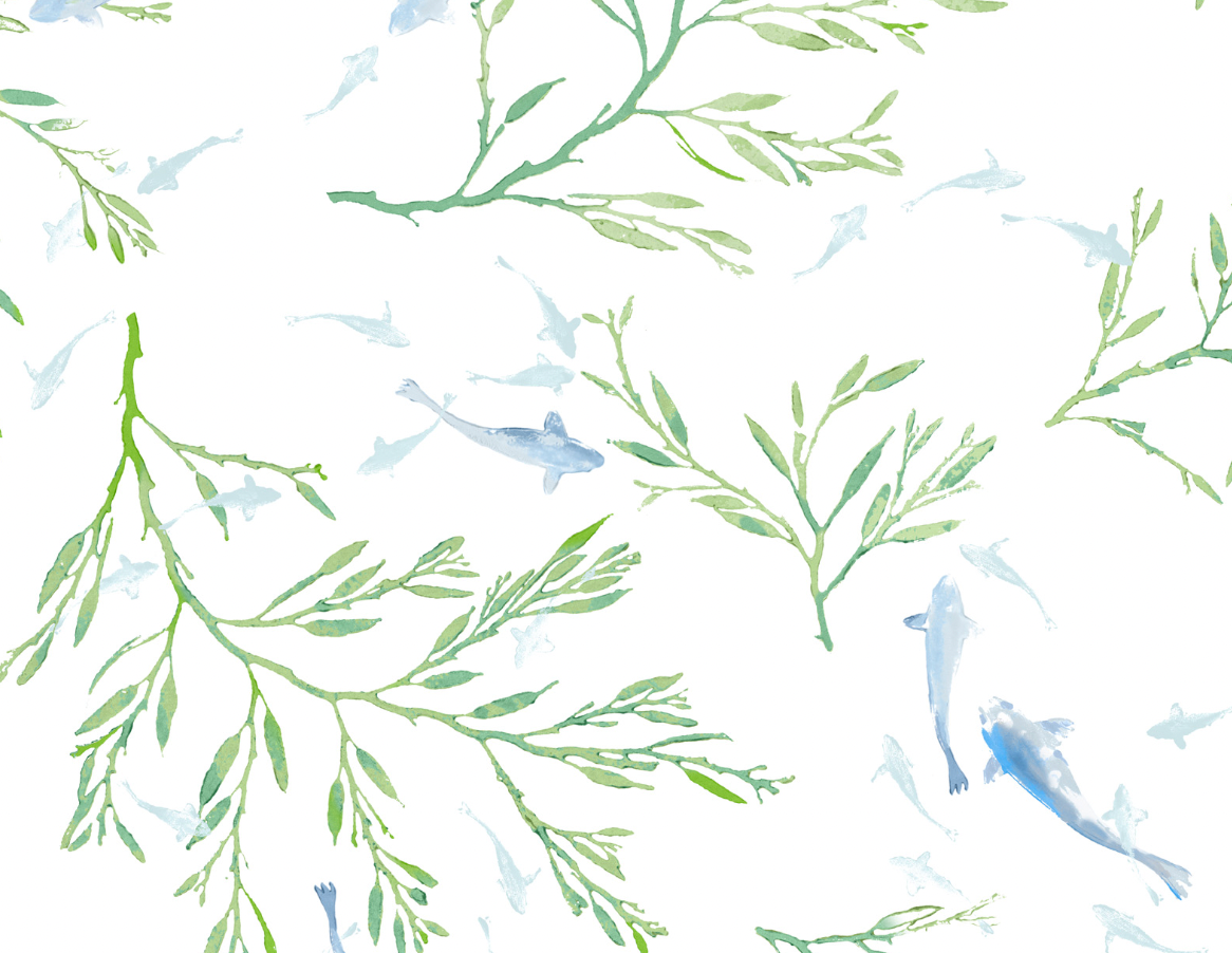 Galbraith & Paul | Koi Pond