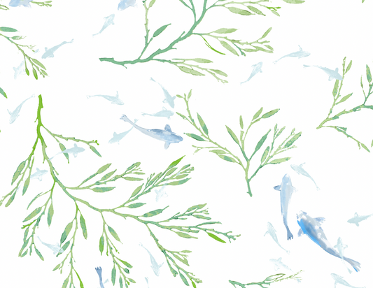 Galbraith & Paul | Koi Pond