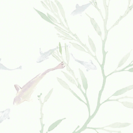 Galbraith & Paul | Koi Pond